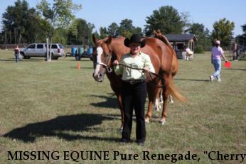 MISSING EQUINE Pure Renegade, "Cherry", REWARD Near Bishopville, SC, 29010